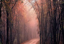 林丹远赴西班牙与妻儿团聚，分享家庭感悟，谢杏芳幸福洋溢.