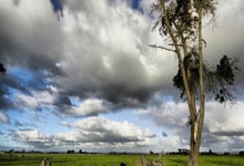 开云体育下载：全运会乒乓球资格赛落幕 陈垣宇搭上晋级末班车.