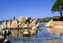 沧州雄狮无比焦虑：6000万到位 准入陷入僵局？.